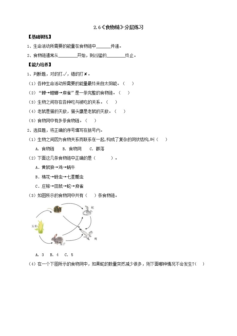 人教版科学六上【新课标】2.6《食物链》分层练习（含答案）01