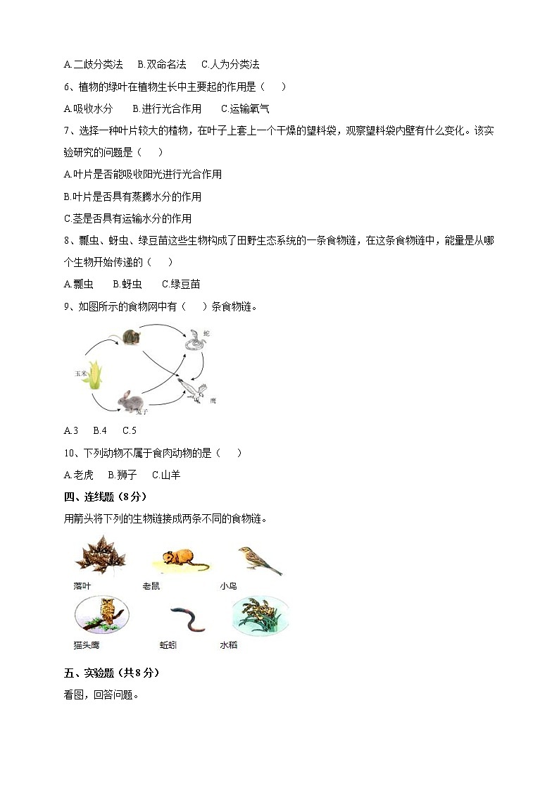 人教鄂教版六年级第二单元《田野里的生物》测试卷（含答案）02