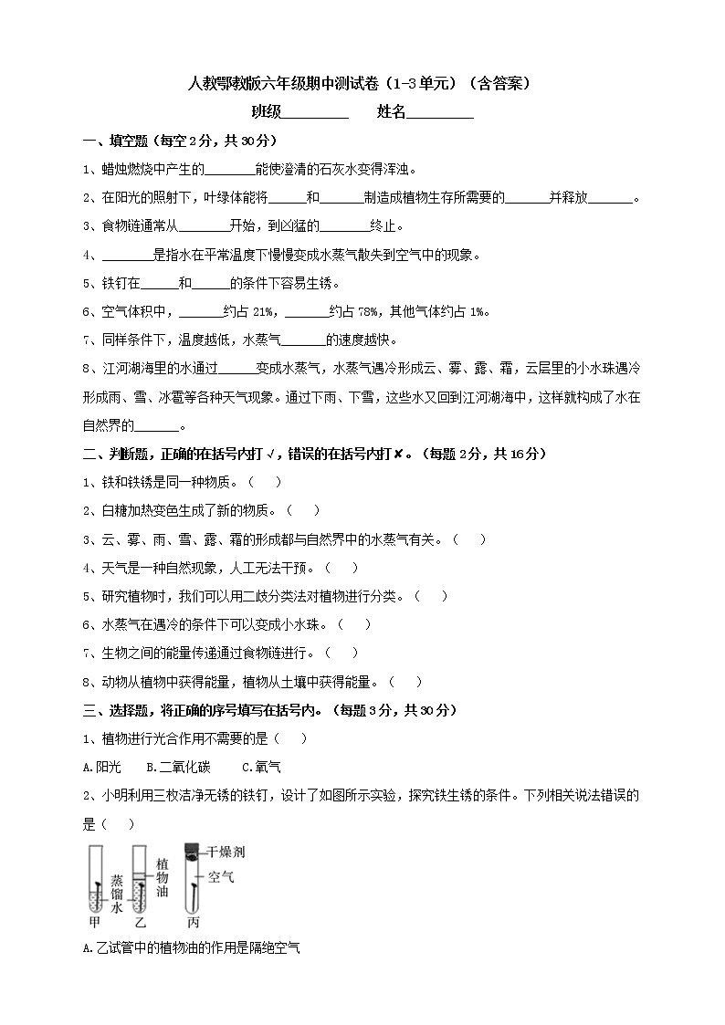 人教鄂教版六年级期中测试卷（1-3单元）（含答案）01