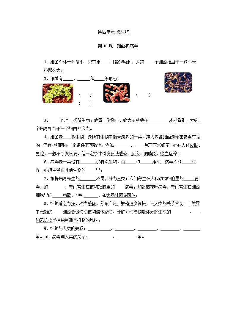 第四单元 微生物 同步练习（学生版）青岛版五四制第1页