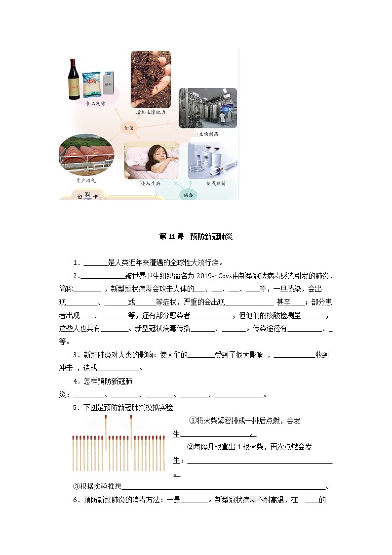 第四单元 微生物 同步练习（学生版）青岛版五四制第2页