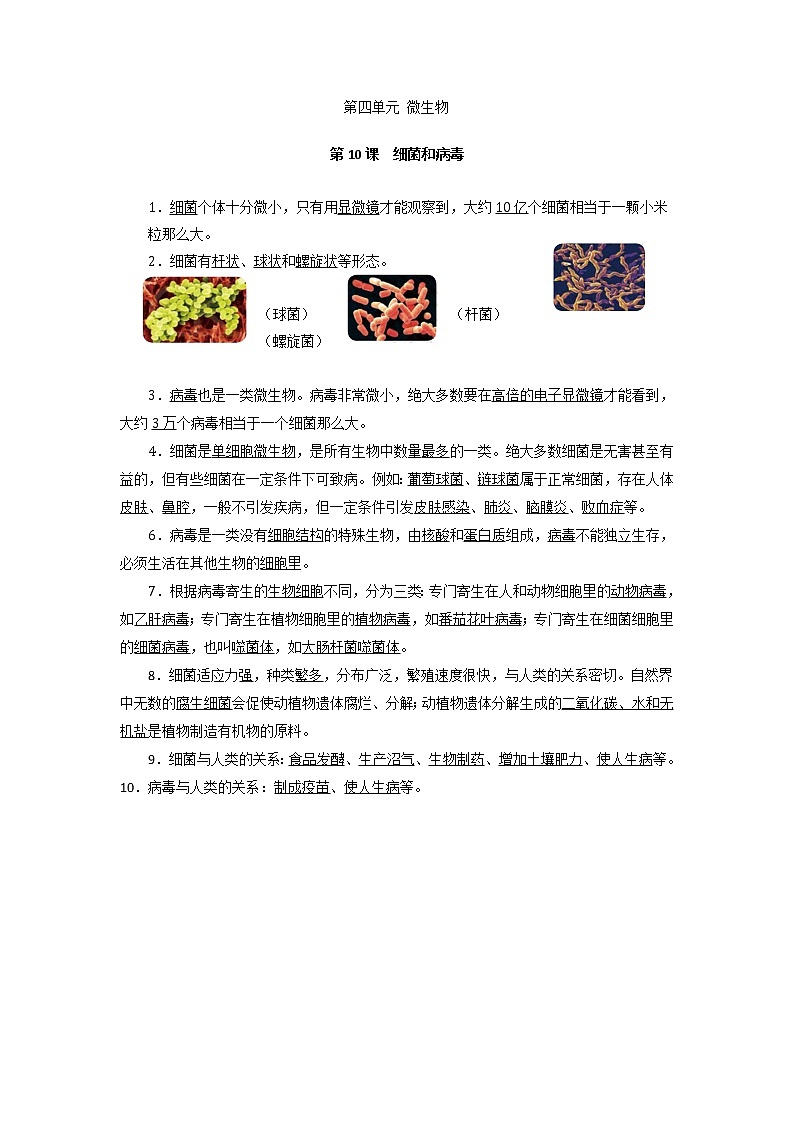 第四单元 微生物 同步练习（教师版）青岛版五四制第1页