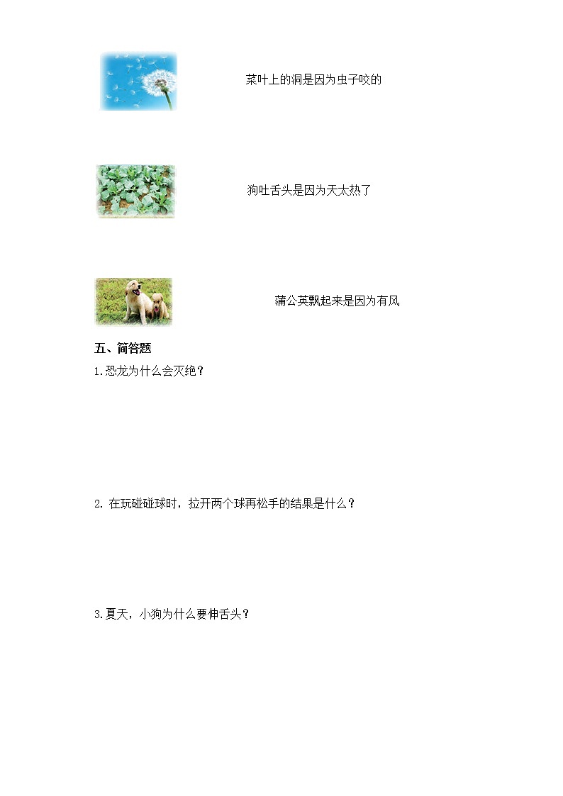 【科学苏教版】一年级上册第三单元第7.课做个小侦探一课一练（含答案）第2页