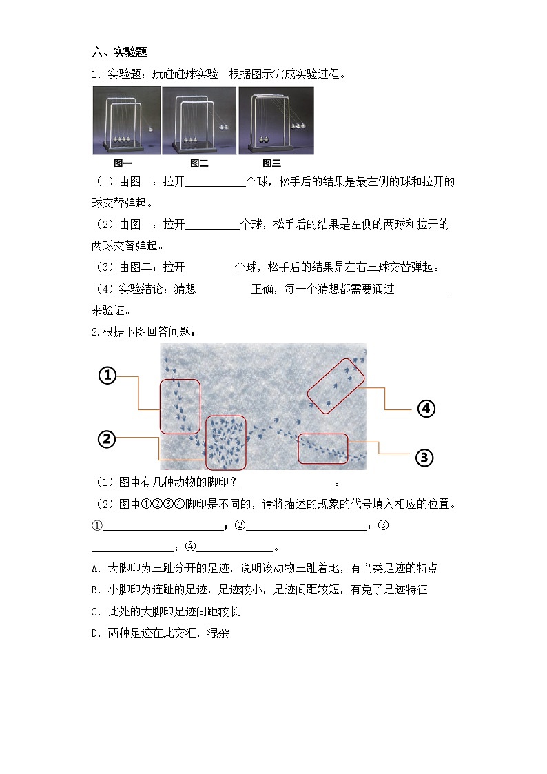 【科学苏教版】一年级上册第三单元第7.课做个小侦探一课一练（含答案）第3页