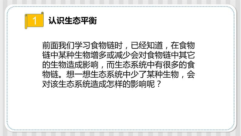 新冀人版六年级科学上册 第15课《瓶子中的科学》课件PPT+教案05