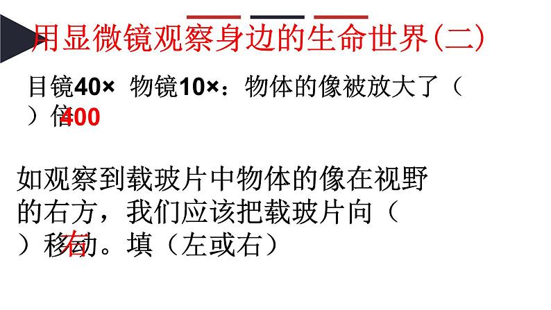 教科版六年级上科学5观察更多的生物细胞教学课件第2页