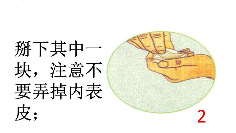 教科版六年级上科学4观察洋葱表皮细胞教学课件08
