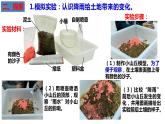 教科版五年级上科学2.6水的作用教学课件