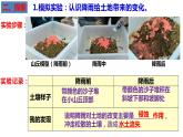 教科版五年级上科学2.6水的作用教学课件