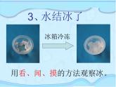 三上1.3 水结冰了 课件