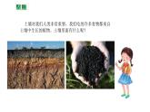 四下3.6《观察土壤》教学课件