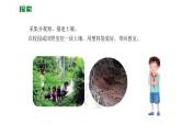 四下3.6《观察土壤》教学课件