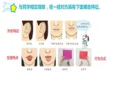 第二單元 遺傳與變異 5.生物的遺傳課件