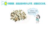 第二單元 遺傳與變異 6.生物的變異課件