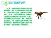 第二單元 化石的奧秘 8.消失的恐龍課件