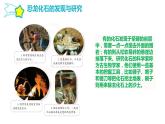 第二單元 化石的奧秘 8.消失的恐龍課件