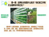 第五单元 科技改变生活 16.人造肥料与现代农业课件