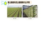 第五单元 科技改变生活 16.人造肥料与现代农业课件
