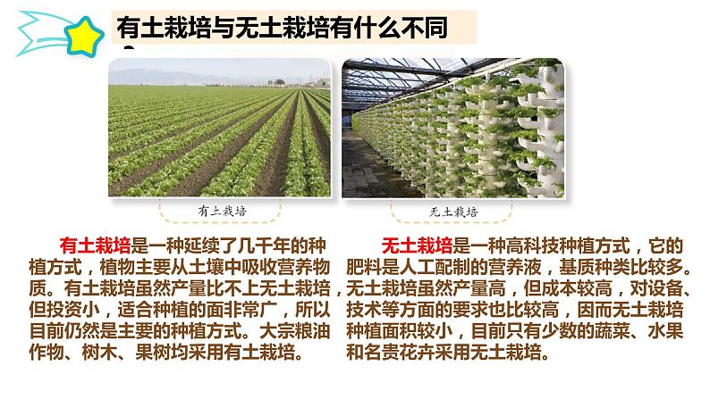 第五单元 科技改变生活 16.人造肥料与现代农业课件第5页