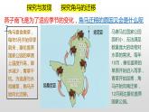 冀人版六年级上册科学16.角马的迁移教学课件
