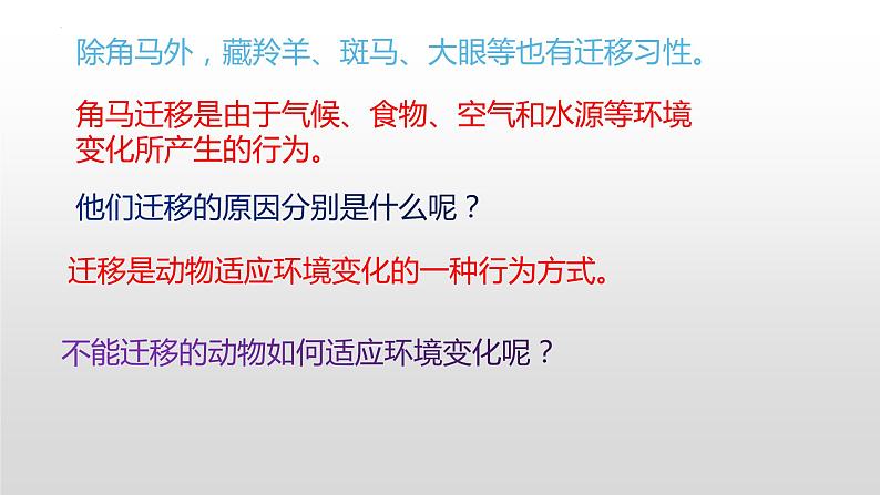 冀人版六年级上册科学16.角马的迁移教学课件04