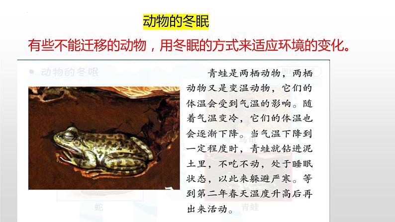 冀人版六年级上册科学16.角马的迁移教学课件05