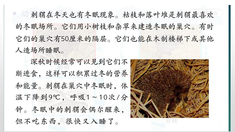 冀人版六年级上册科学16.角马的迁移教学课件07