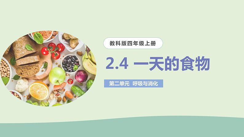 教科版(2017)科学四年级上册2.4《一天的食物》课件+教案+练习01