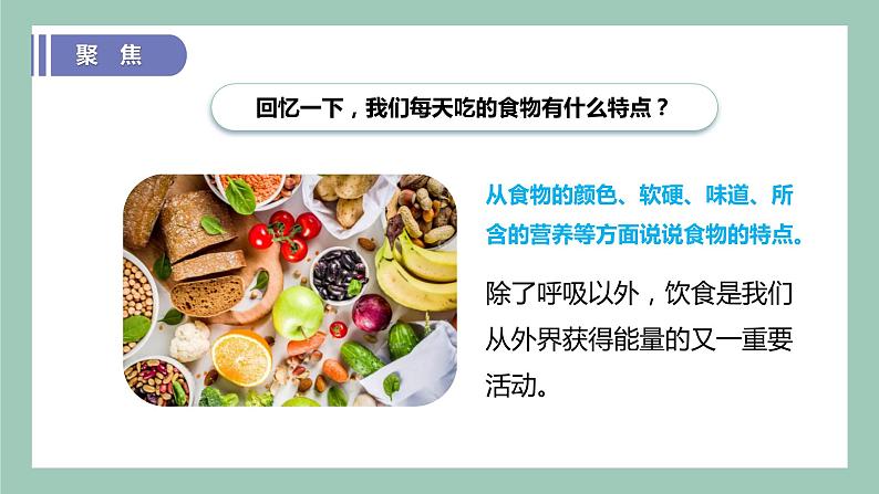 教科版(2017)科学四年级上册2.4《一天的食物》课件+教案+练习03