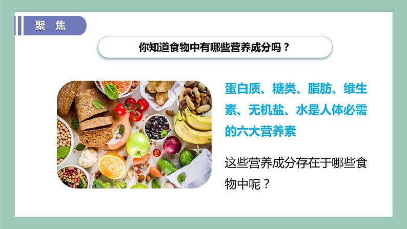 教科版(2017)科学四年级上册2.5《食物中的营养》课件+教案+练习03
