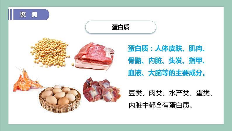 教科版(2017)科学四年级上册2.5《食物中的营养》课件+教案+练习04