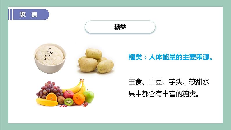 教科版(2017)科学四年级上册2.5《食物中的营养》课件+教案+练习05