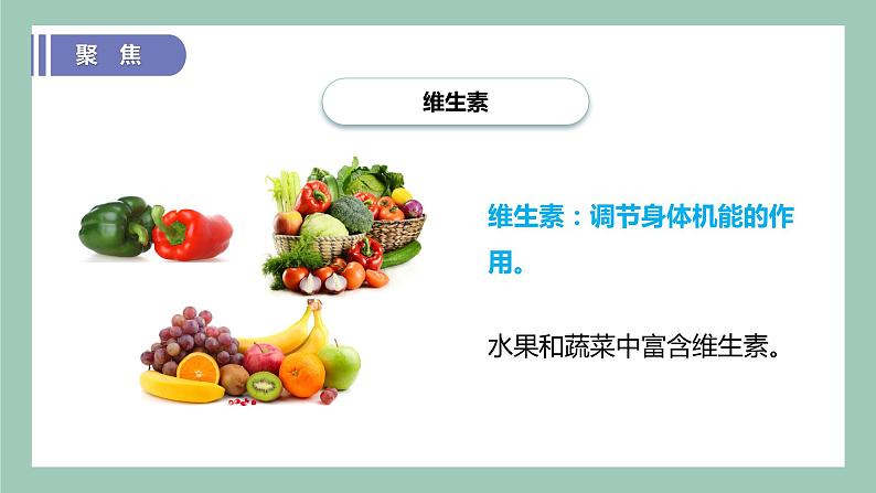 教科版(2017)科学四年级上册2.5《食物中的营养》课件+教案+练习07