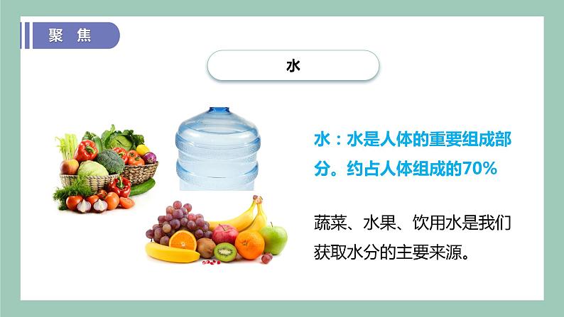 教科版(2017)科学四年级上册2.5《食物中的营养》课件+教案+练习08