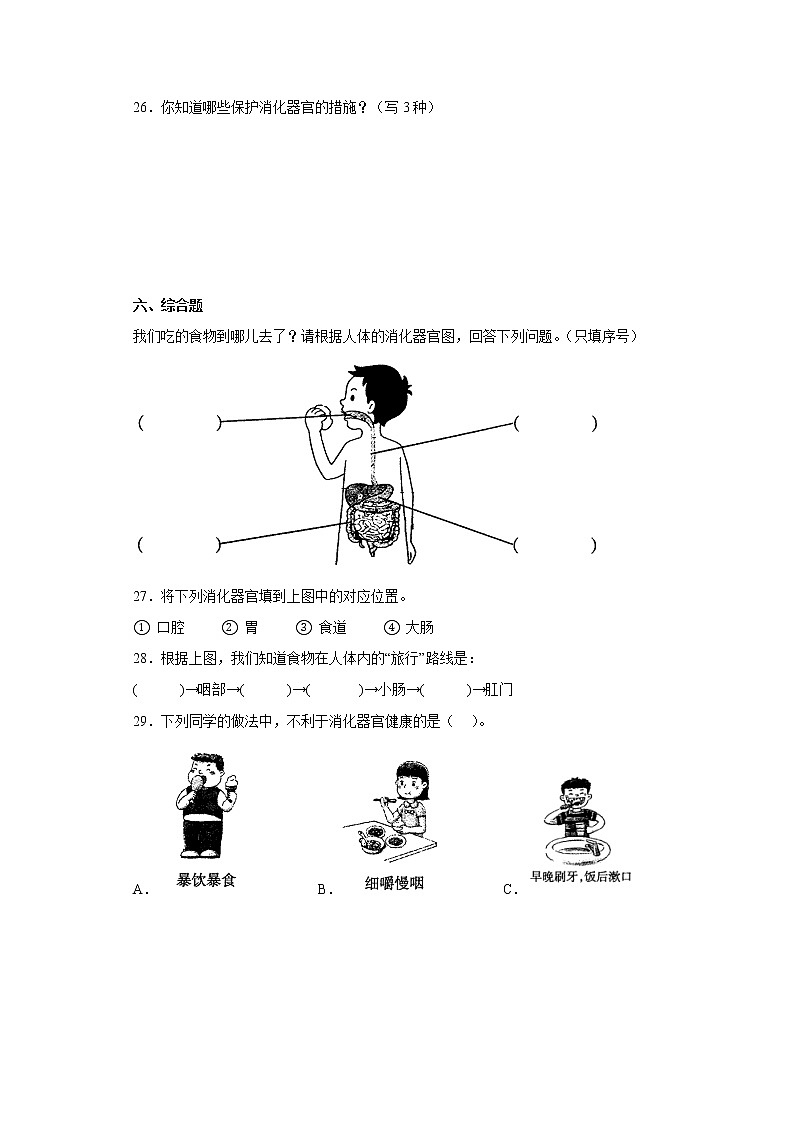 苏教版三年级上册科学第五单元质量测试卷A（含答案）03