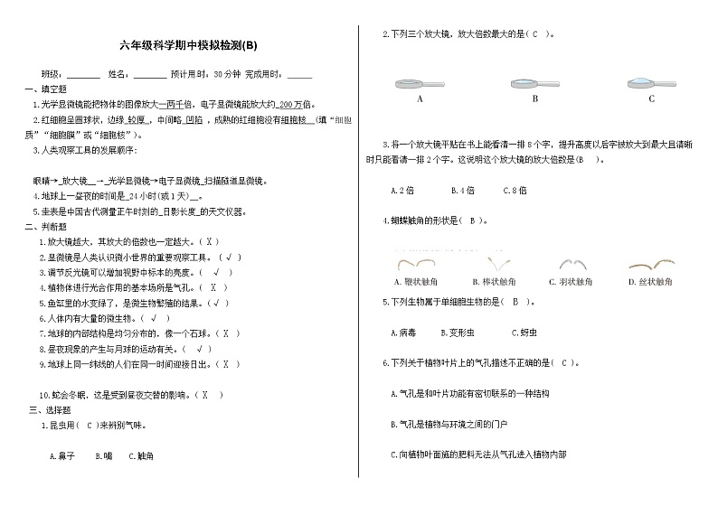 【期中模拟卷】教科版科学六年级上册 期中模拟卷(B)（含答案）01