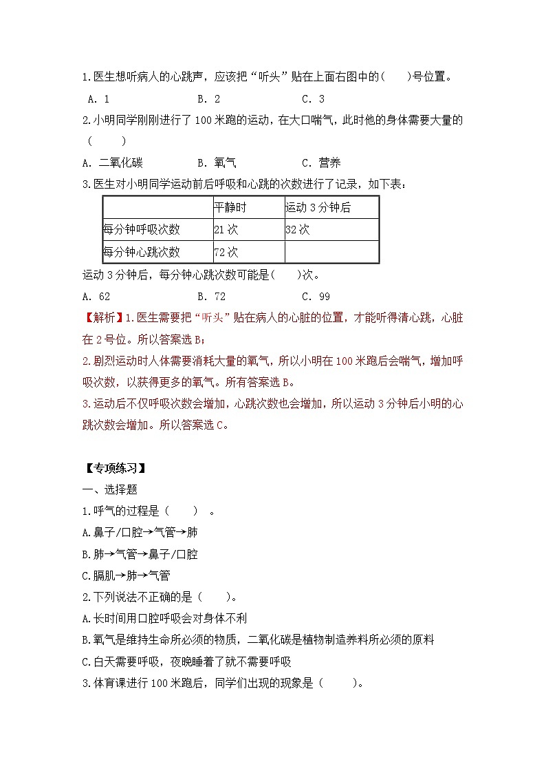 教科版科学四年级上册  期中专题3 呼吸与健康 专项复习02