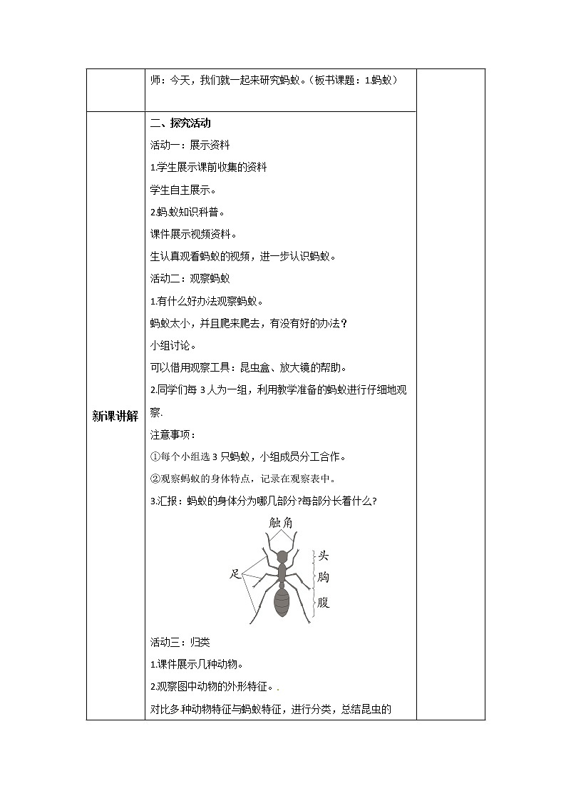 新青岛版科学四年级上册 1.1蚂蚁 课件PPT+教案+习题02
