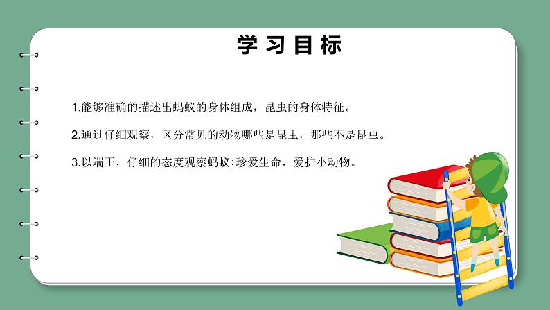 新青岛版科学四年级上册 1.1蚂蚁 课件PPT+教案+习题02