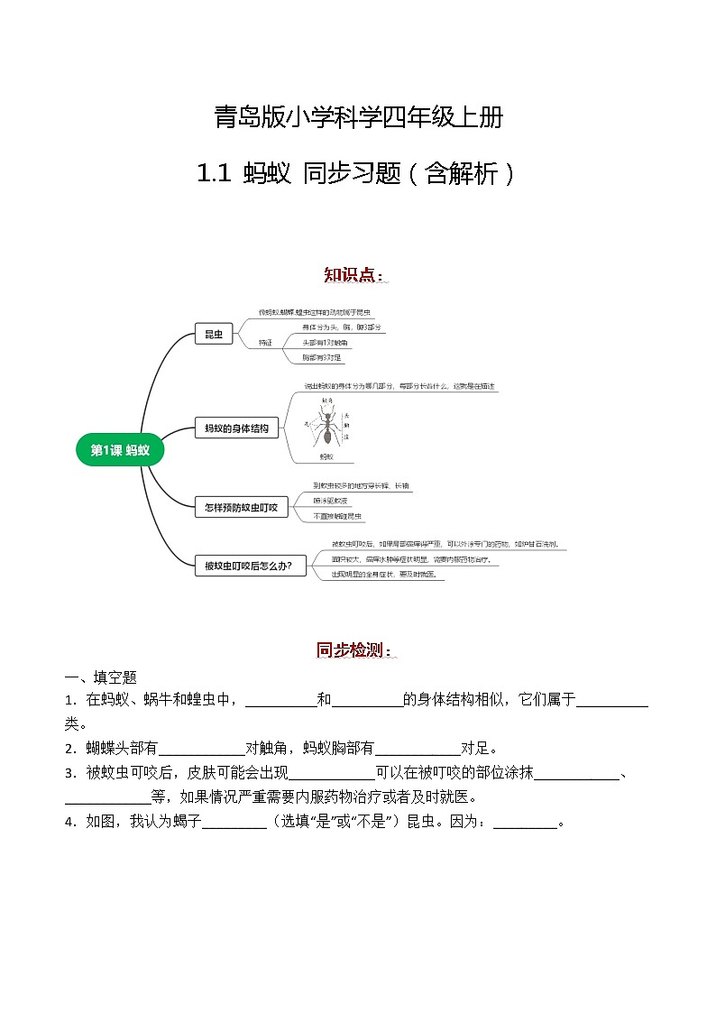 新青岛版科学四年级上册 1.1蚂蚁 课件PPT+教案+习题01