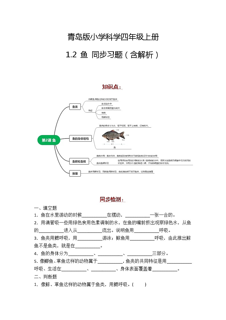 新青岛版科学四年级上册 1.2鱼 课件PPT+教案+习题01