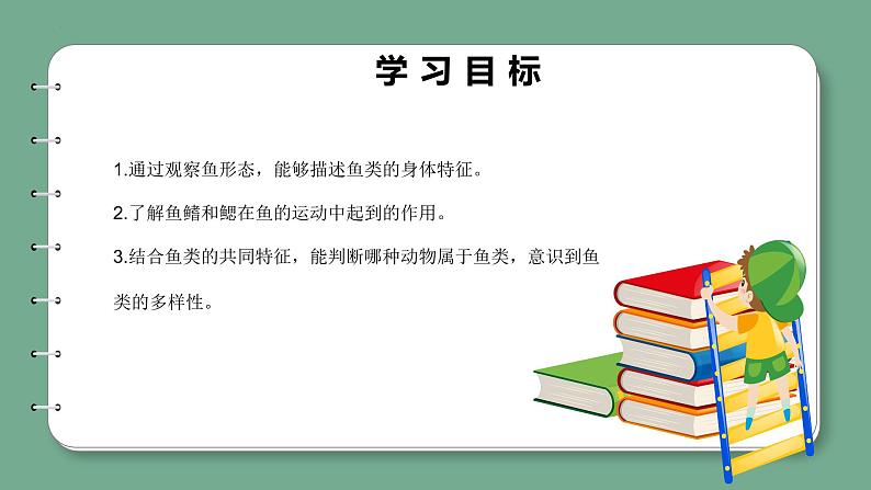 新青岛版科学四年级上册 1.2鱼 课件PPT+教案+习题02