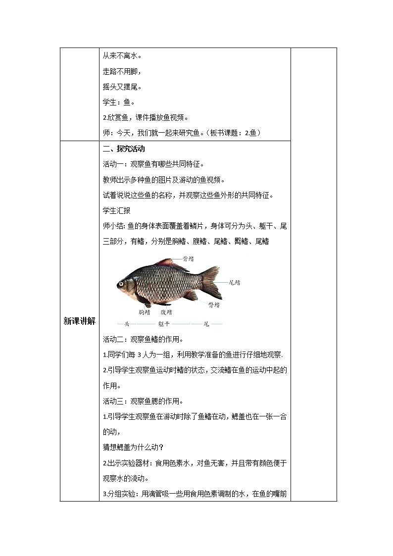 新青岛版科学四年级上册 1.2鱼 课件PPT+教案+习题02