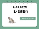 新青岛版科学四年级上册 1.4哺乳动物 课件PPT+教案+习题