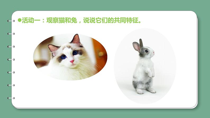 新青岛版科学四上 1.4哺乳动物 课件第8页