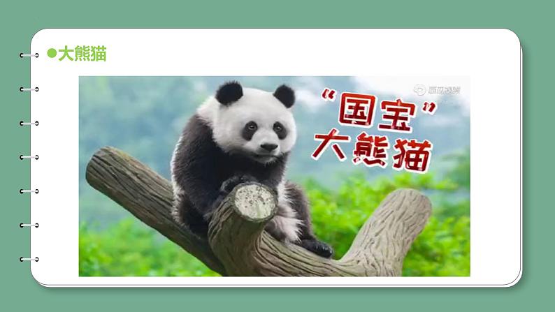 新青岛版科学四年级上册 1.5我国的珍稀动物 课件PPT+教案+习题06