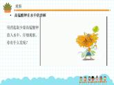 不一样的溶解课件