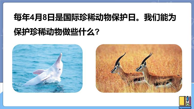 青岛版科学 我国的珍稀动物 课件第2页