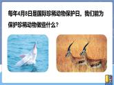 青岛版四上科学 5 我国的珍稀动物 课件PPT+视频素材