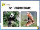 青岛版四上科学 5 我国的珍稀动物 课件PPT+视频素材